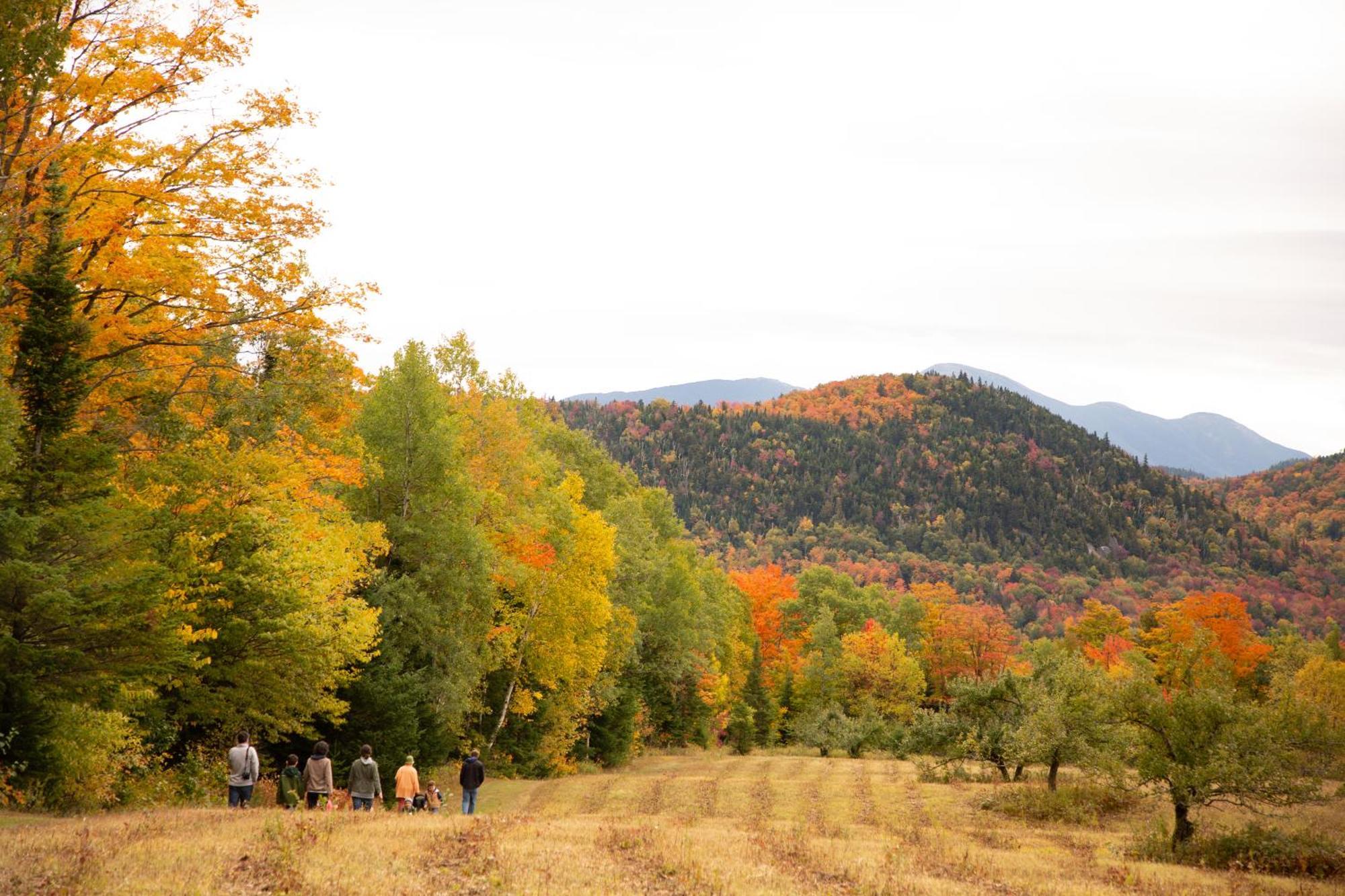 Lake Placid Inn Boutique Hotel エクステリア 写真
