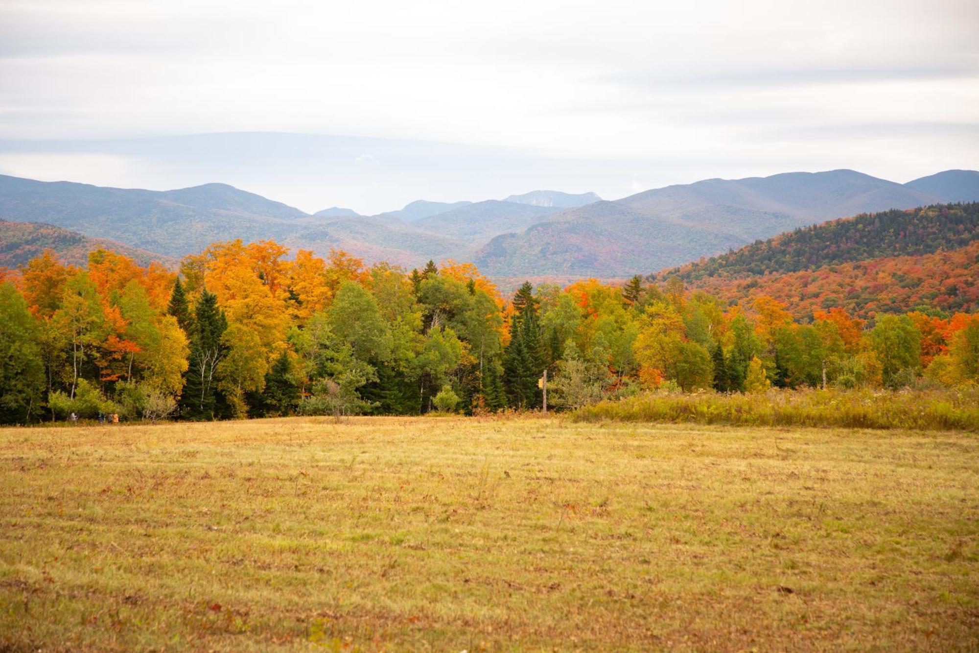 Lake Placid Inn Boutique Hotel エクステリア 写真